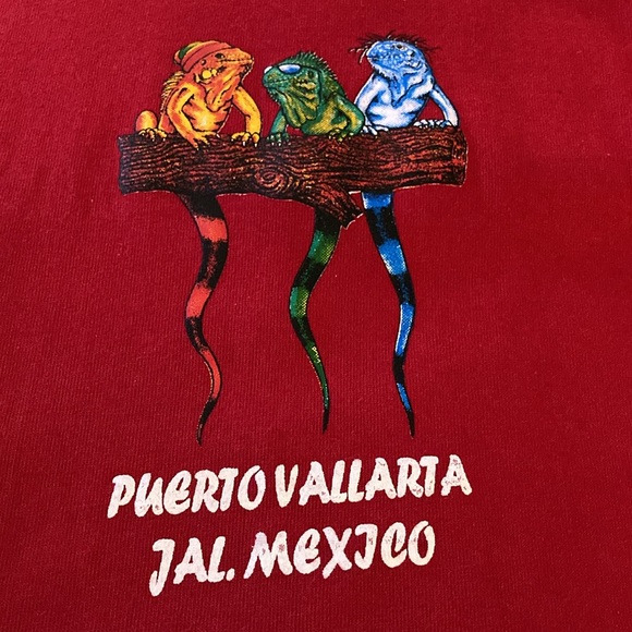 ❤️ 2/$30 * ❤️ Puerto Vallarta Short Sleeve Unisex Souvenir T-Shirt - Sz M - Picture 8 of 10